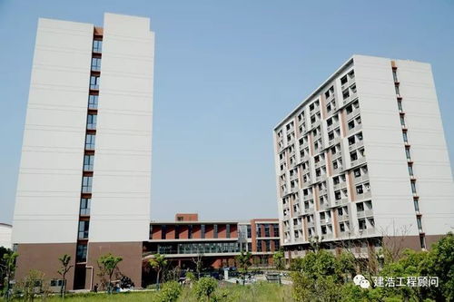 走进松江大学城 探秘上海重大工程建设下的最美校园新篇章