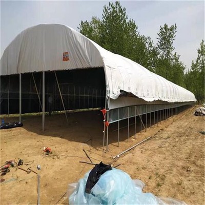 九江地区养殖大棚设计及建设工程方案要点解析